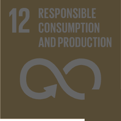 SDG 12 · Nachhaltiger Konsum und Produktion