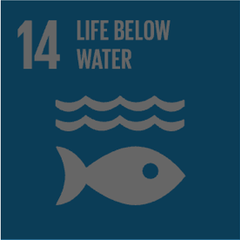 SDG 14 · Leben unter Wasser
